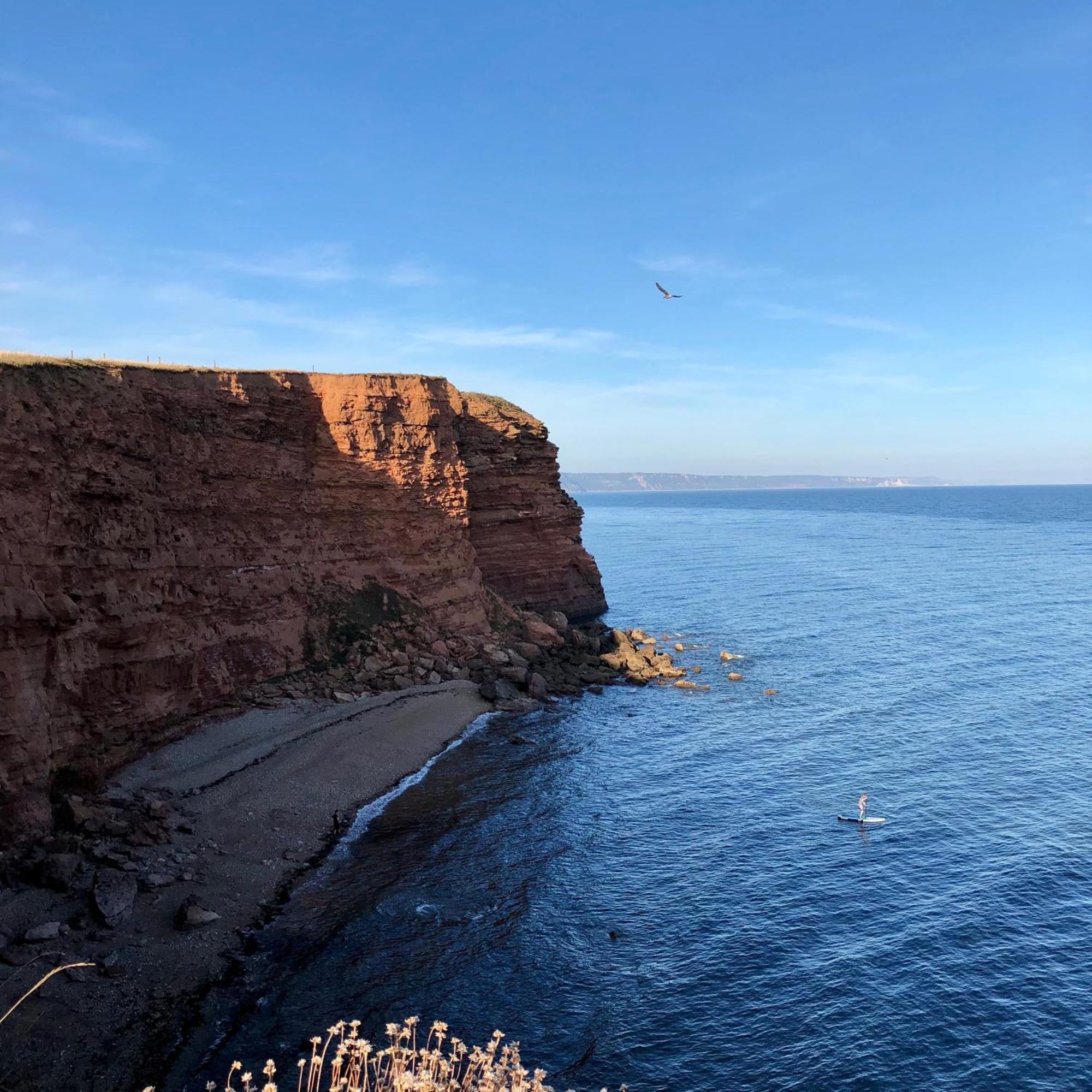 Jurassic Hideaway Hotel Budleigh Salterton Exterior photo